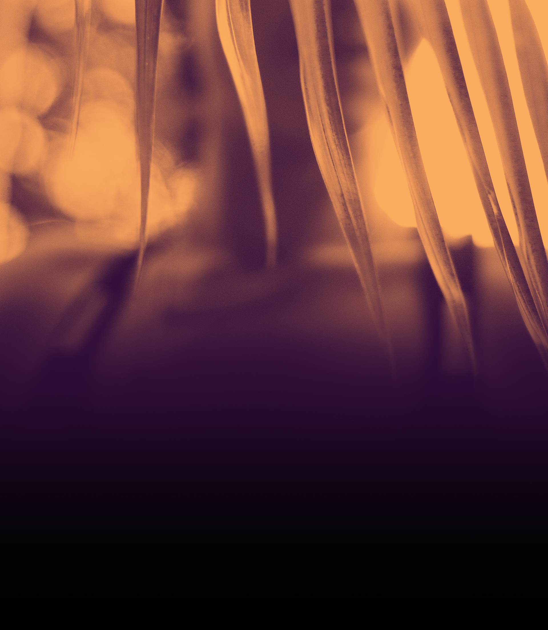 main-image-tropic-thunders